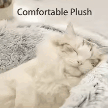 Kattenbedje Tink Essentials - Perfect Comfort en Stijl voor Jouw Kat